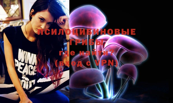 индика Алексин