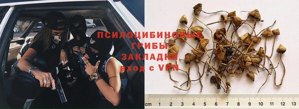 кокаин колумбия Алзамай